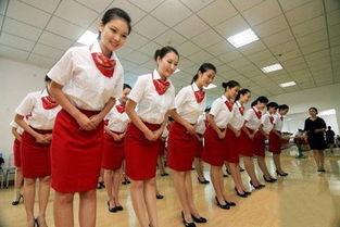 廣告設計中的服務禮儀規范 專業形象與客戶信任的基石